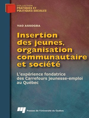 cover image of Insertion des jeunes, organisation communautaire et société